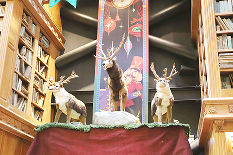 新舊時代的魔幻空間